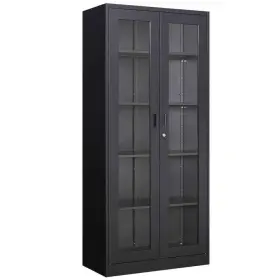 WDBTB2022153B LISSIMO Steel Storage Freestanding Cabinet Door
